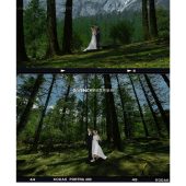 云杉坪-森林梦境