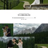 云杉坪-森林梦境