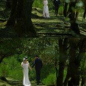 云杉坪-森林梦境