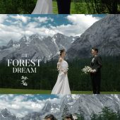 云杉坪-森林梦境