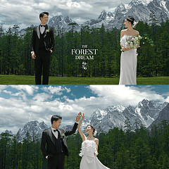 云杉坪-森林梦境