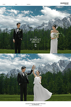 云杉坪-森林梦境