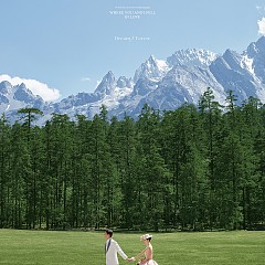 云杉坪-爱丽丝梦游仙境