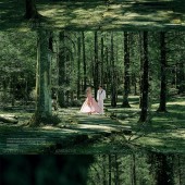 云杉坪-爱丽丝梦游仙境