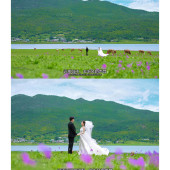 安大大与小王八🍒