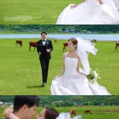 安大大与小王八🍒