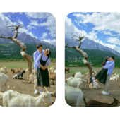 安大大与小王八🍒