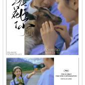 安大大与小王八🍒