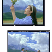 安大大与小王八🍒