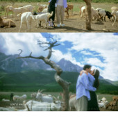 安大大与小王八🍒