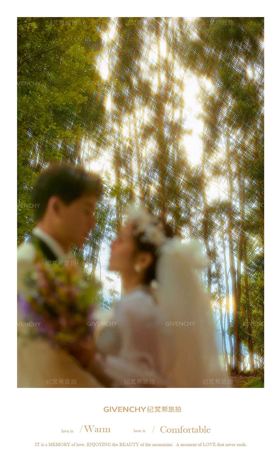 安大大与小王八🍒