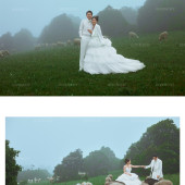 安大大与小王八🍒