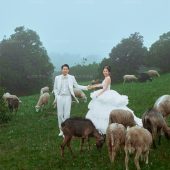 安大大与小王八🍒