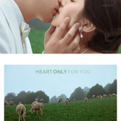 安大大与小王八🍒