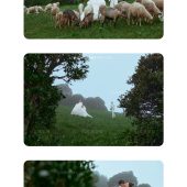 安大大与小王八🍒