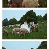 安大大与小王八🍒