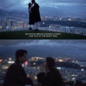 安大大与小王八🍒