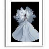 郑先生&舒女士 内景白月光