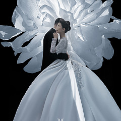 郑先生&舒女士 内景白月光