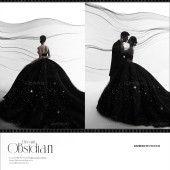 郑先生&舒女士 银河星光