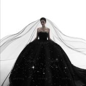 郑先生&舒女士 银河星光