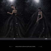 郑先生&舒女士 银河星光