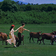 网红 陈嘉惟❤筱媛媛