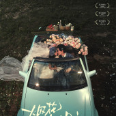 幸福湾-烟花开停在星夜