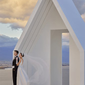 山茶园-夕阳余晖