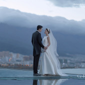 山茶园-奔赴浪漫