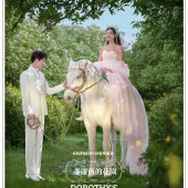 阳光森林-多萝西的花园