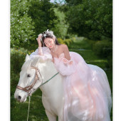 阳光森林-多萝西的花园