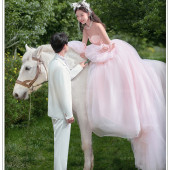 阳光森林-多萝西的花园