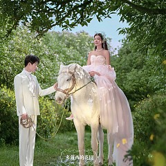 阳光森林-多萝西的花园