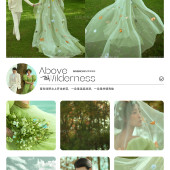 崇义村-绿野之上