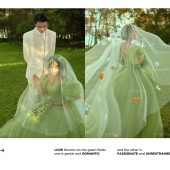 崇义村-绿野之上