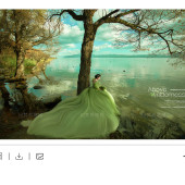 崇义村-绿野之上