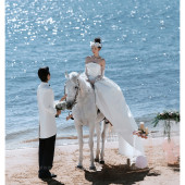 幸福湾-白马恋人