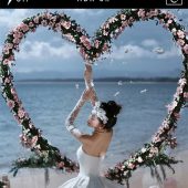 幸福湾-白马恋人