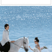 幸福湾-白马恋人