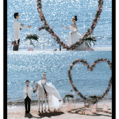 幸福湾-白马恋人