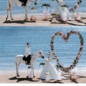 幸福湾-白马恋人