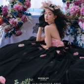 幸福湾-海边蔷薇