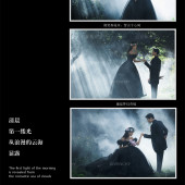 阳光森林-森林精灵