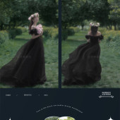 阳光森林-森林精灵