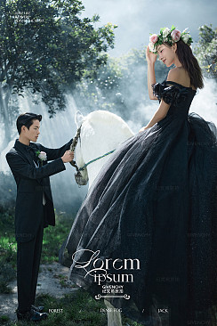 阳光森林-森林精灵