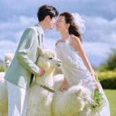 阳光森林-风之旅行