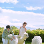 阳光森林-风之旅行