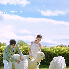 阳光森林-风之旅行