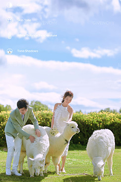 阳光森林-风之旅行